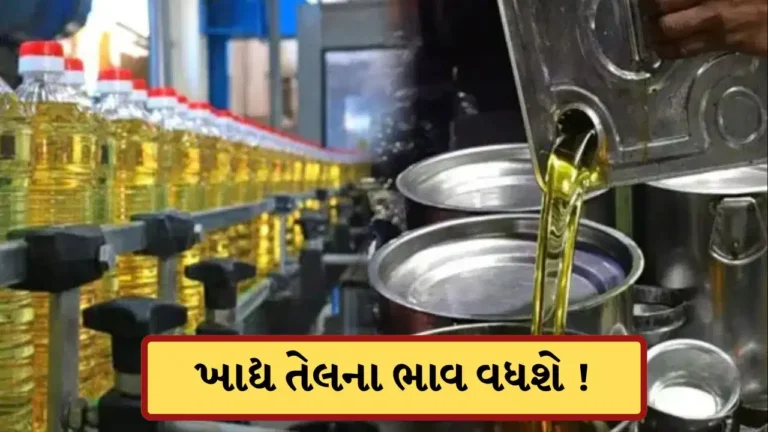 BUSINESS : गड़बड़ाएगा किचिन का बजट, और महंगा हो सकता है खाद्य तेल