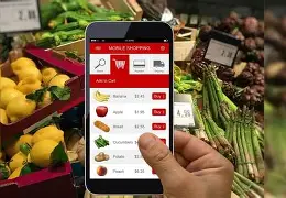 LIFESTYLE : ऑनलाइन Grocery खरीदते हैं? अब हर सामान पर दिखेगी ‘Best Before’ डेट