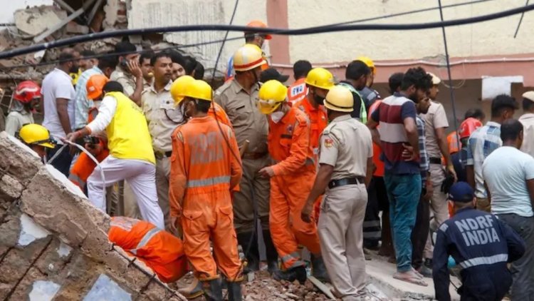 NATIONAL : दिल्ली पीजी हादसा : मलबे से निकाले गए 7 शव, रेस्क्यू डॉग्स और कैमरे से जारी तलाश
